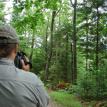 White tailed Deer close encounter