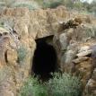 Cave/Mine Shaft where the Ringtail was found 